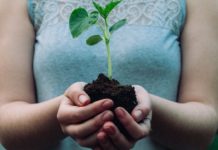 The Importance of ECO-Friendly Products