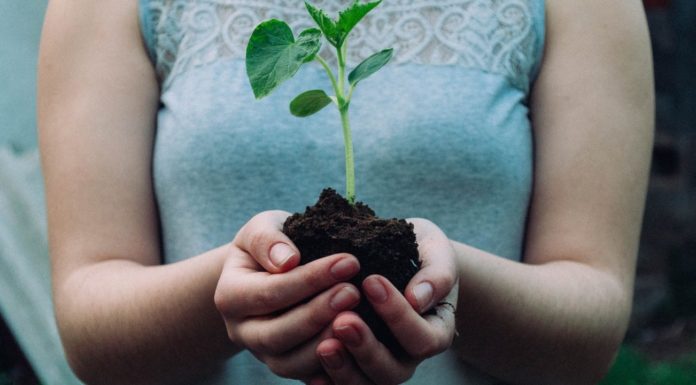 The Importance of ECO-Friendly Products