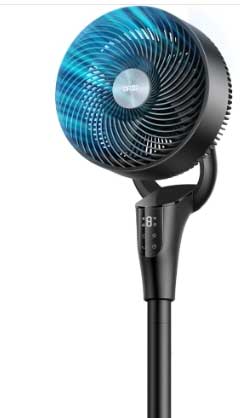 Fan